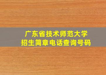 广东省技术师范大学招生简章电话查询号码