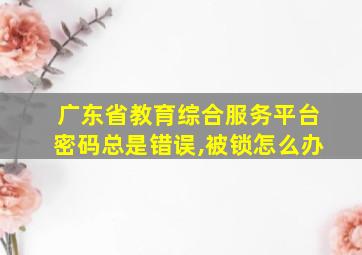 广东省教育综合服务平台密码总是错误,被锁怎么办