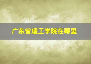 广东省理工学院在哪里