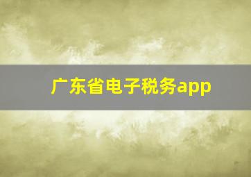 广东省电子税务app