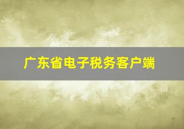 广东省电子税务客户端