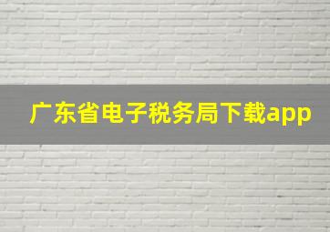 广东省电子税务局下载app