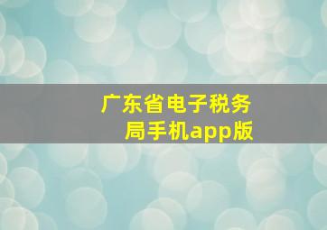 广东省电子税务局手机app版