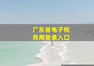 广东省电子税务局登录入口