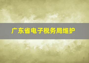 广东省电子税务局维护