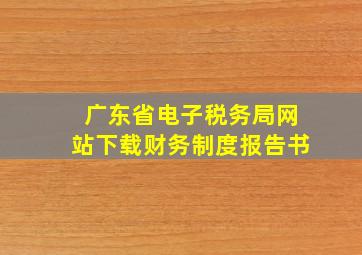 广东省电子税务局网站下载财务制度报告书