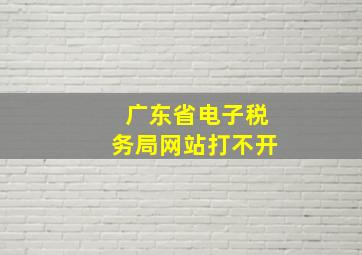 广东省电子税务局网站打不开