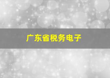 广东省税务电子