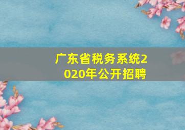 广东省税务系统2020年公开招聘