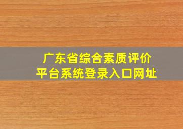 广东省综合素质评价平台系统登录入口网址