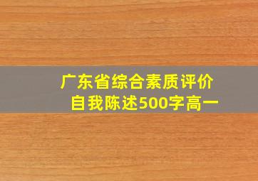 广东省综合素质评价自我陈述500字高一