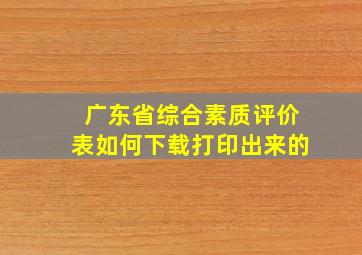 广东省综合素质评价表如何下载打印出来的