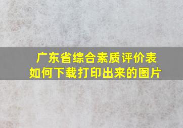 广东省综合素质评价表如何下载打印出来的图片