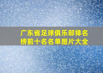 广东省足球俱乐部排名榜前十名名单图片大全