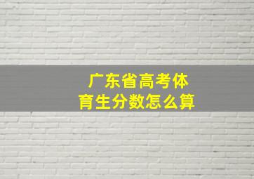 广东省高考体育生分数怎么算