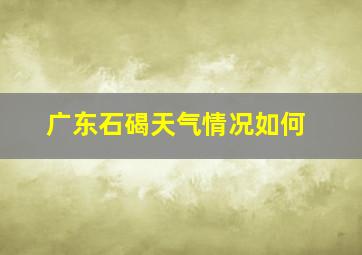 广东石碣天气情况如何