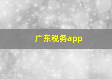 广东税务app