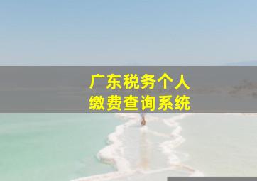 广东税务个人缴费查询系统