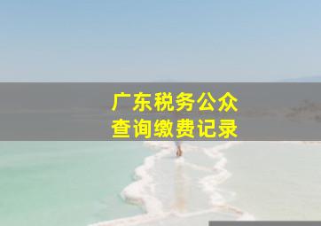 广东税务公众查询缴费记录