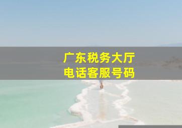 广东税务大厅电话客服号码