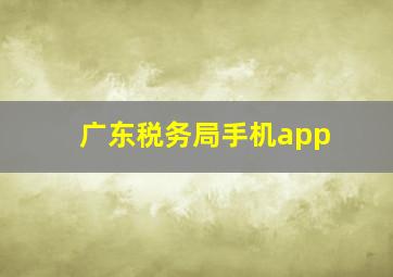 广东税务局手机app