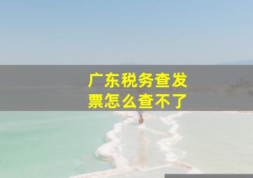 广东税务查发票怎么查不了