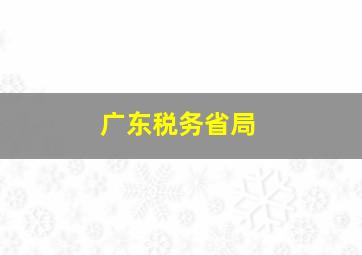 广东税务省局