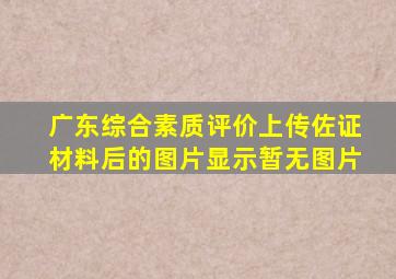 广东综合素质评价上传佐证材料后的图片显示暂无图片