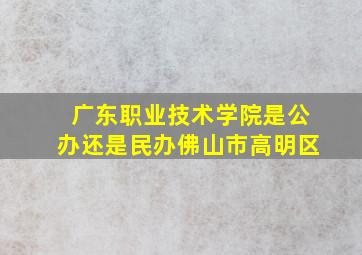 广东职业技术学院是公办还是民办佛山市高明区