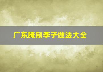 广东腌制李子做法大全