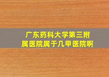 广东药科大学第三附属医院属于几甲医院啊