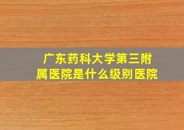 广东药科大学第三附属医院是什么级别医院