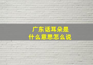 广东话耳朵是什么意思怎么说