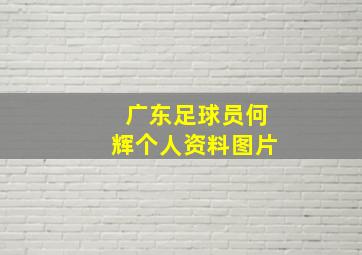 广东足球员何辉个人资料图片