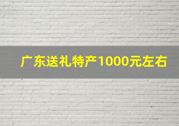 广东送礼特产1000元左右