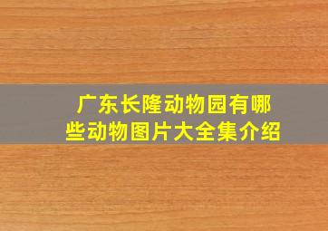 广东长隆动物园有哪些动物图片大全集介绍