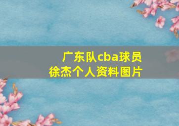 广东队cba球员徐杰个人资料图片