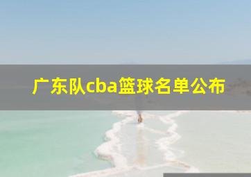 广东队cba篮球名单公布