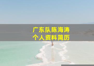 广东队陈海涛个人资料简历