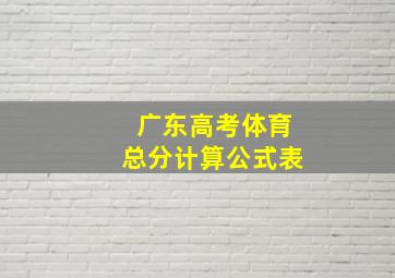 广东高考体育总分计算公式表