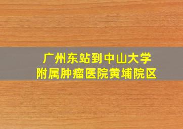 广州东站到中山大学附属肿瘤医院黄埔院区