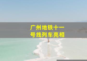 广州地铁十一号线列车亮相