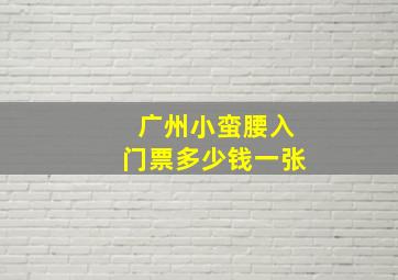 广州小蛮腰入门票多少钱一张