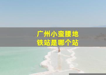 广州小蛮腰地铁站是哪个站