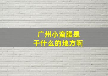 广州小蛮腰是干什么的地方啊