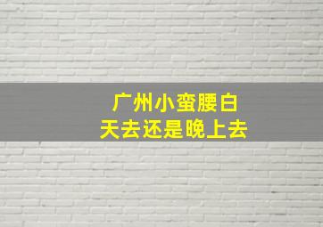 广州小蛮腰白天去还是晚上去