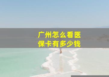 广州怎么看医保卡有多少钱