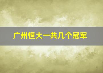 广州恒大一共几个冠军