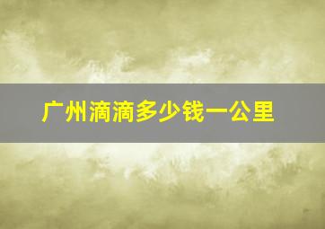 广州滴滴多少钱一公里