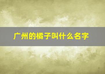 广州的橘子叫什么名字